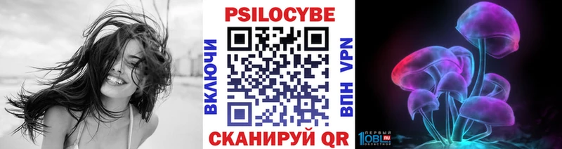 Псилоцибиновые грибы GOLDEN TEACHER Междуреченск